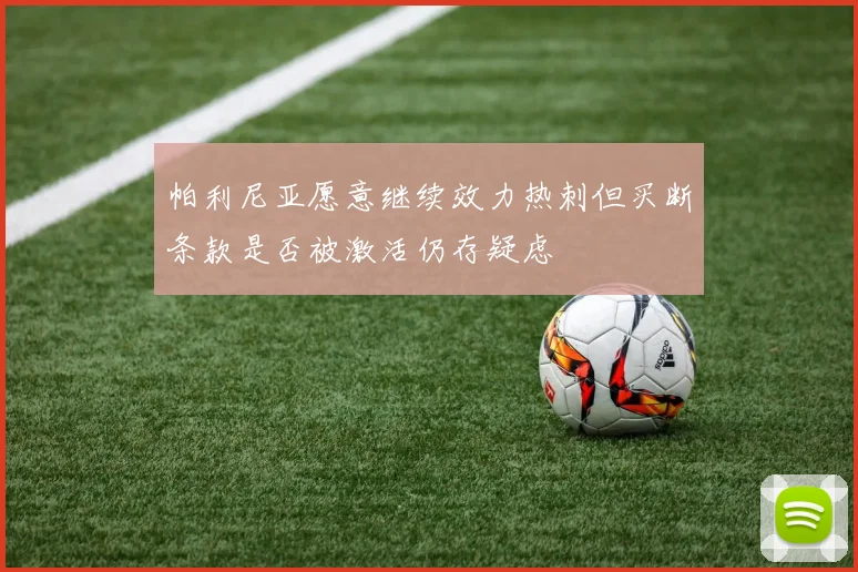 帕利尼亚愿意继续效力热刺但买断条款是否被激活仍存疑虑