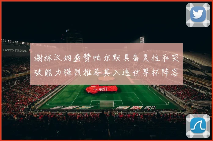 谢林汉姆盛赞帕尔默具备灵性和突破能力强烈推荐其入选世界杯阵容